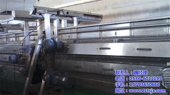 寶雞立式脫毛機 諸城天朔機械 不銹鋼立式脫毛機價格低的
