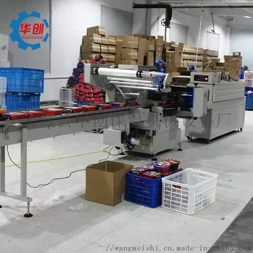 糕點(diǎn)枕式包裝機(jī) 食品醫(yī)療用品套袋包裝機(jī) 全自動(dòng) ,大城縣華創(chuàng)保溫機(jī)械設(shè)備廠