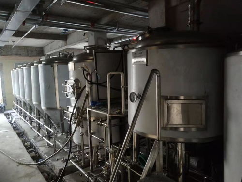500升精釀啤酒設備多少錢一套,小型啤酒設備廠家